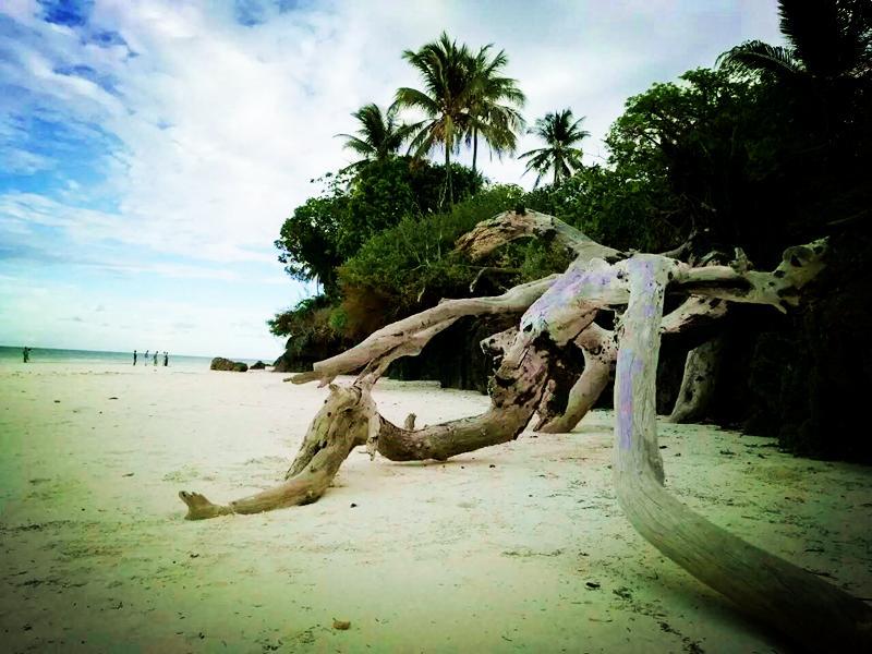 Diani Hostel Diani Beach Eksteriør billede